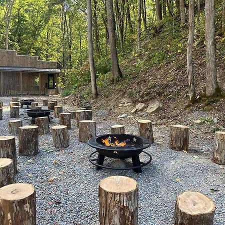 Cozy Cove Retreat W Lake View Hot Tub Firepit Dandridge Kültér fotó