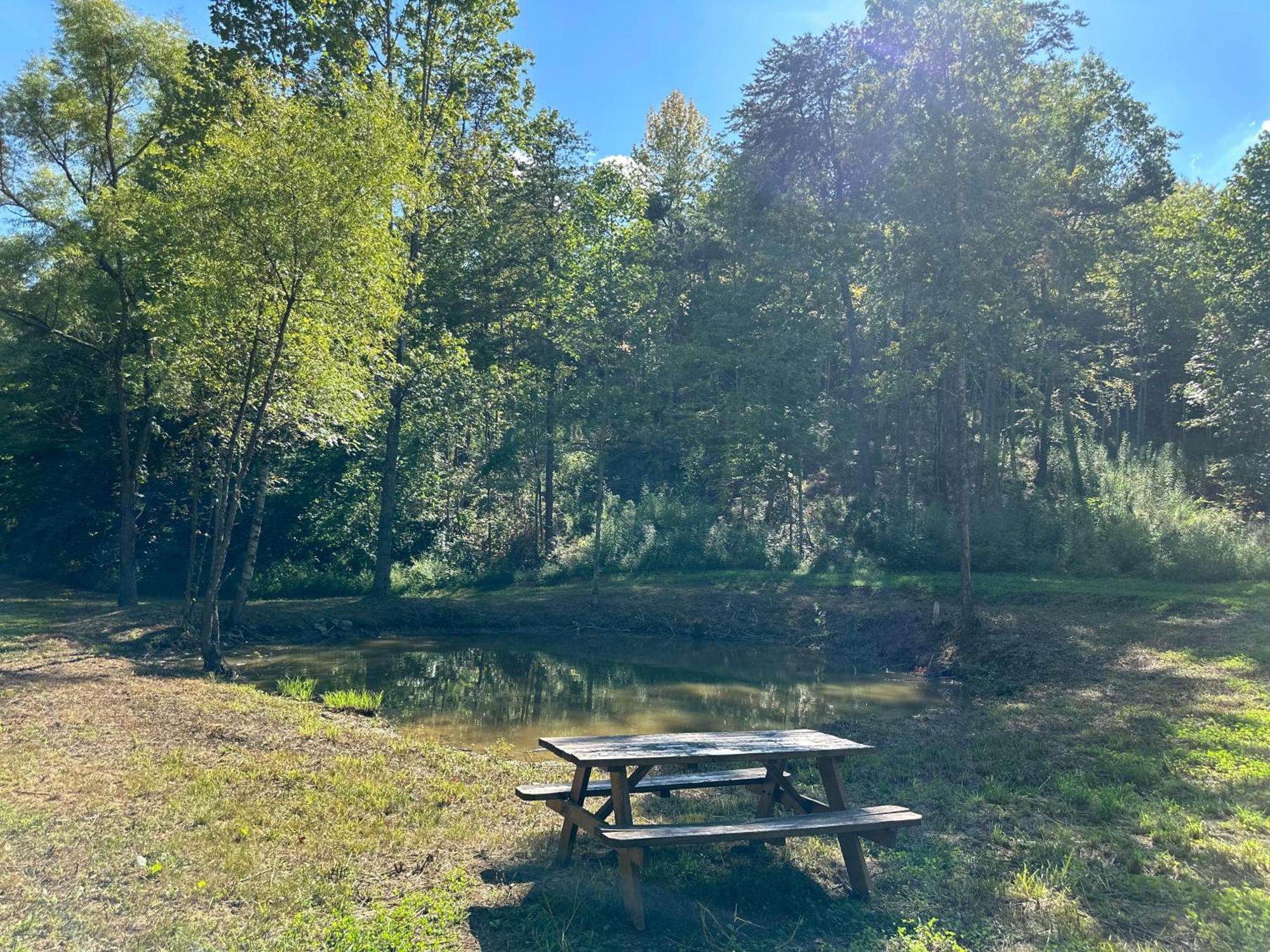 Cozy Cove Retreat W Lake View Hot Tub Firepit Dandridge Kültér fotó